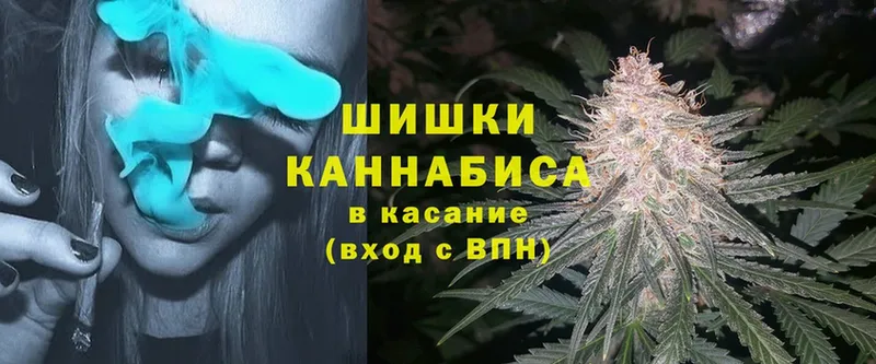 как найти закладки  Будённовск  МАРИХУАНА White Widow 